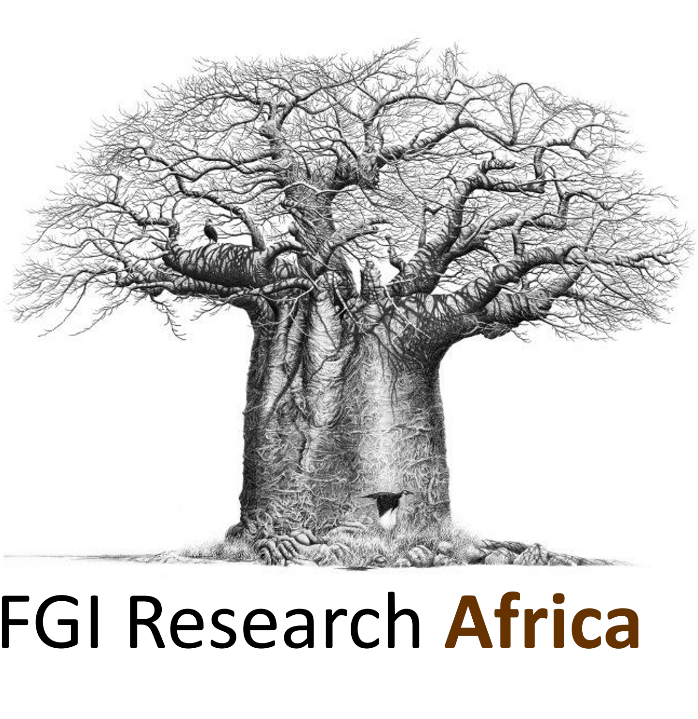 FGI Research Africa
