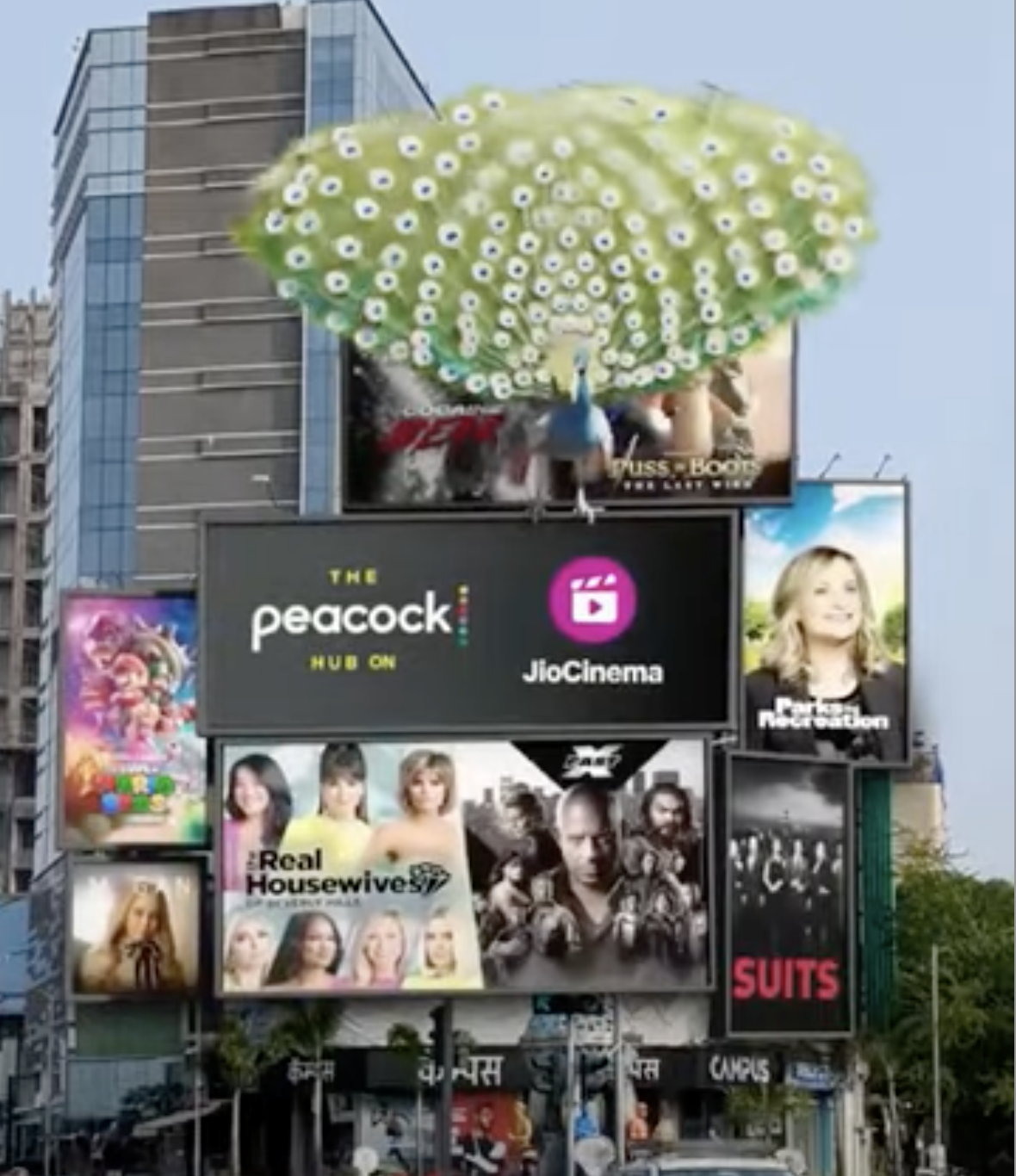 Peacock TV
